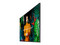 Monitor de Señalización Samsung QB55C de 55