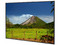 Monitor de Señalización Digital LED ViewSonic CDE6520-W de 65