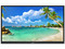 Monitor Multi-Touch ViewSonic IFP7550-3 de 75