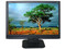 Monitor LCD ViewSonic Optiquest Widescreen 19