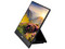 Monitor OLED ViewSonic VP16-OLED de 15.6
