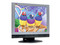 Monitor LCD ViewSonic 15