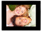 Portarretrato MULTIMedia Viewsonic LCD de 8.4