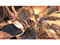 Soul Calibur IV (PlayStation 3) PREVENTA Fecha Aproximada de Salida Primero de Agosto