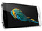 Smartphone TP-LINK Neffos C5 Max:
Procesador Mediatek Octa Core (1.3 GHz),
Memoria RAM de 2GB, Almacenamiento de 16GB (expandible con microSD),
Pantalla 5.5
