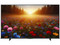 Televisión LED Smart TV Hisense 55QD6QV de 55