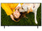 Televisor LED LG 55UA751C de 55