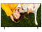 Televisión LG LED UHD Smart TV 65UA751C de 65