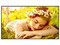 Televisión LG Signage 65UL5Q de 65