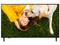 Televisión LG Semi Hotelera 75UA751C0SA LED Smart TV de 75