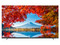 Televisión LED Smart TV Sharp Aquos Frameless 4T-C55DL7UR de 55