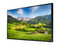 Televisión para Exteriores QLED Smart TV Samsung The Terrace de 55