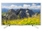 Televisión Sony LED Smart TV de 55