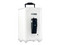 Boiler de Paso Calorex Fortis 09, 9 LTS, Gas LP