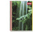 Cuaderno Profesional Scribe Mega Plus de Raya, 100 hojas.