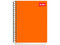 Cuaderno Scribe Profesional Clásico Raya 100 Hojas (Modelo: 2900) es una opción ideal para quienes buscan calidad y funcionalidad en sus materiales de escritura.