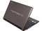 Netbook Acer Aspire ONE D255E-13893:
Procesador Intel Atom N455 (1.66GHz),
Memoria de 1GB DDR3,  Disco Duro 250GB,
Pantalla LED de 10.1