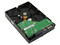 Disco Duro Western Digital de 160 GB, 7200 RPM, SATA II