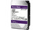Disco Duro para Videovigilancia Western Digital Purple de 10 TB, 7200 RPM, 256MB, SATA III (6.0 Gb/s).