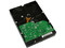 Disco Duro Western Digital de 160GB IDE a 7200RPM