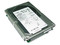 DISCO DURO SEAGATE CHEETAH 36GB SCSI 10000 RPM 80 PINES ULTRA 320 *NO DEVOLUCION*