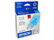 Cartucho de Tinta Epson Cian, Modelo: T063220