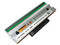 Repuesto de Cabezal Zebra para Impresoras ZT610 203dpi, Transferencia Térmica.