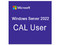 Windows Server CAL 2022 para 1 Usuario, Versión en Español.