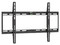 Soporte de pared fijo Tripp Lite para TV y monitores de 32