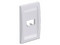 Placa de Pared Panduit CFPE2EIY de 2 puertos. Color Marfil.