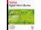 Adobe Digital Video Collection v8.0 para Windows en Ingles