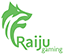 Raiju Gaming